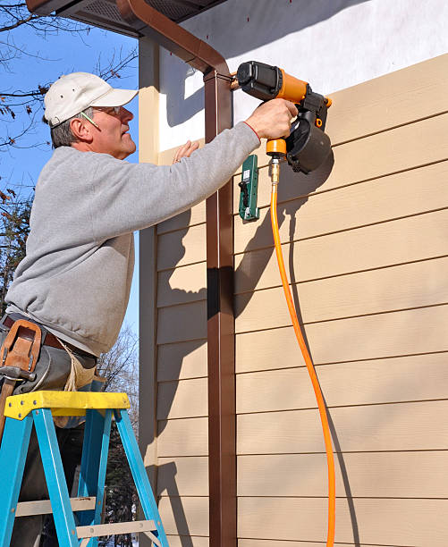 Best Stucco Siding  in Roselle, IL